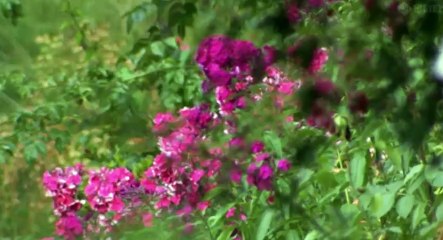 Faulks on Fiction S01  E02 The Lover  1    Part 01