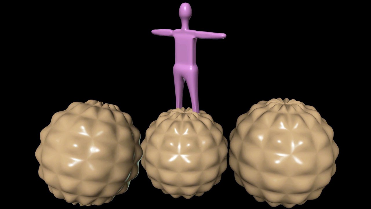 THE BALANCED TOY