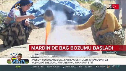 Mardin'de bağ bozumu başladı