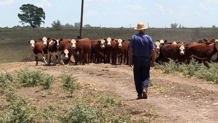 Brasil pide más "movimientos" de la UE en acuerdo con Mercosur