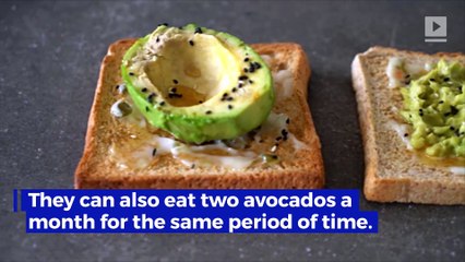 Get Paid to Eat Avocados