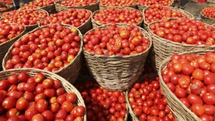 అధిక ఉత్పత్తి తక్కువ డిమాండే కారణం.....!