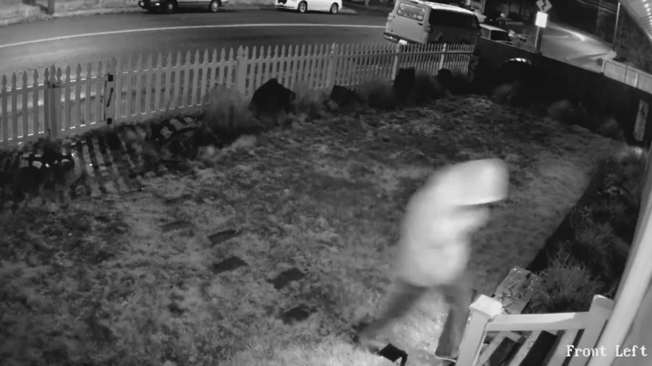 Il réussit à piéger l'homme qui volait ses colis en lui fichant une trouille bleue !