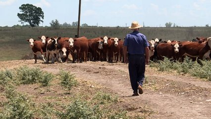 Brasil pede mais 'movimentos' da UE para acordo com o Mercosul