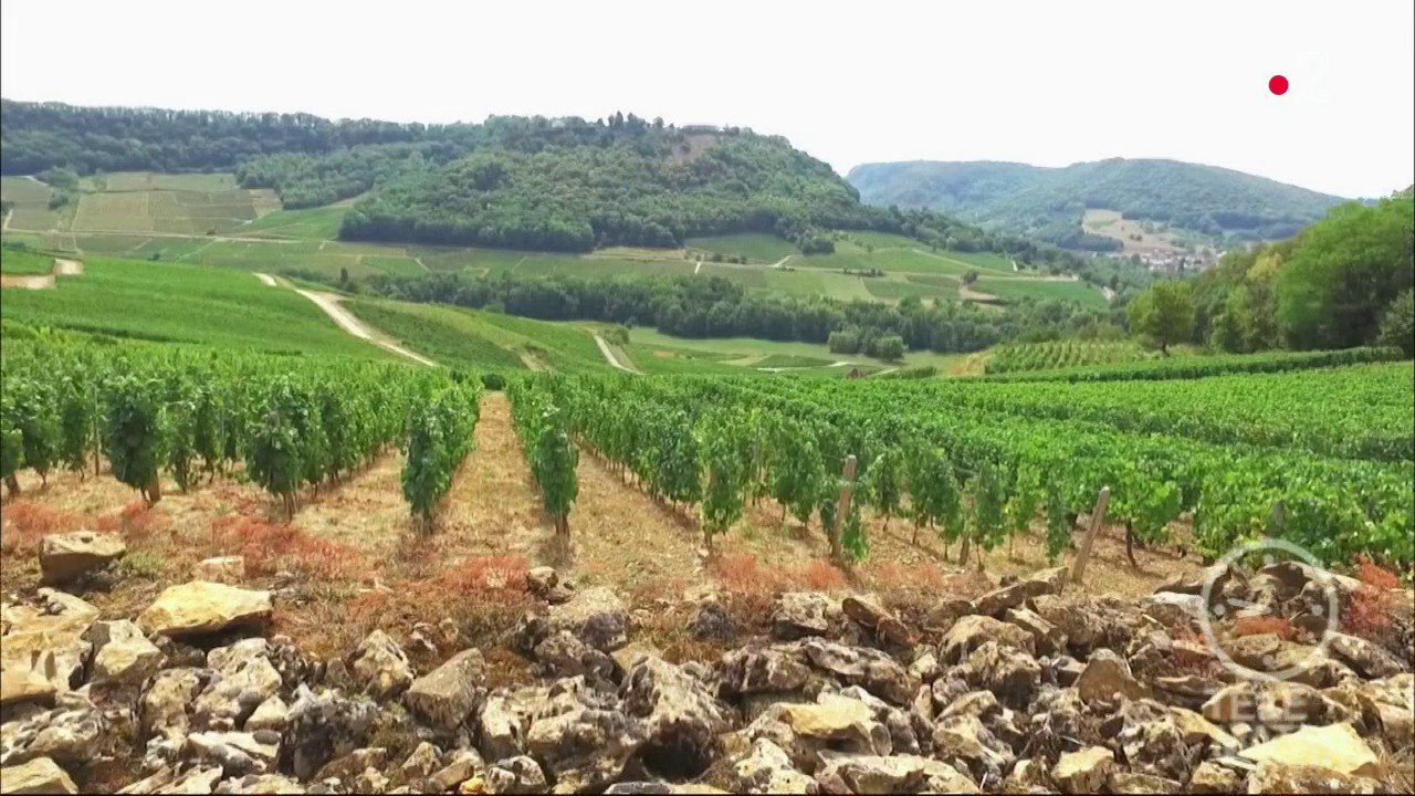 Made in France - Une maison dans les vignes