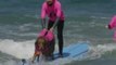 Surfer Dog Helps Autistic Boy Overcome Fear of Water