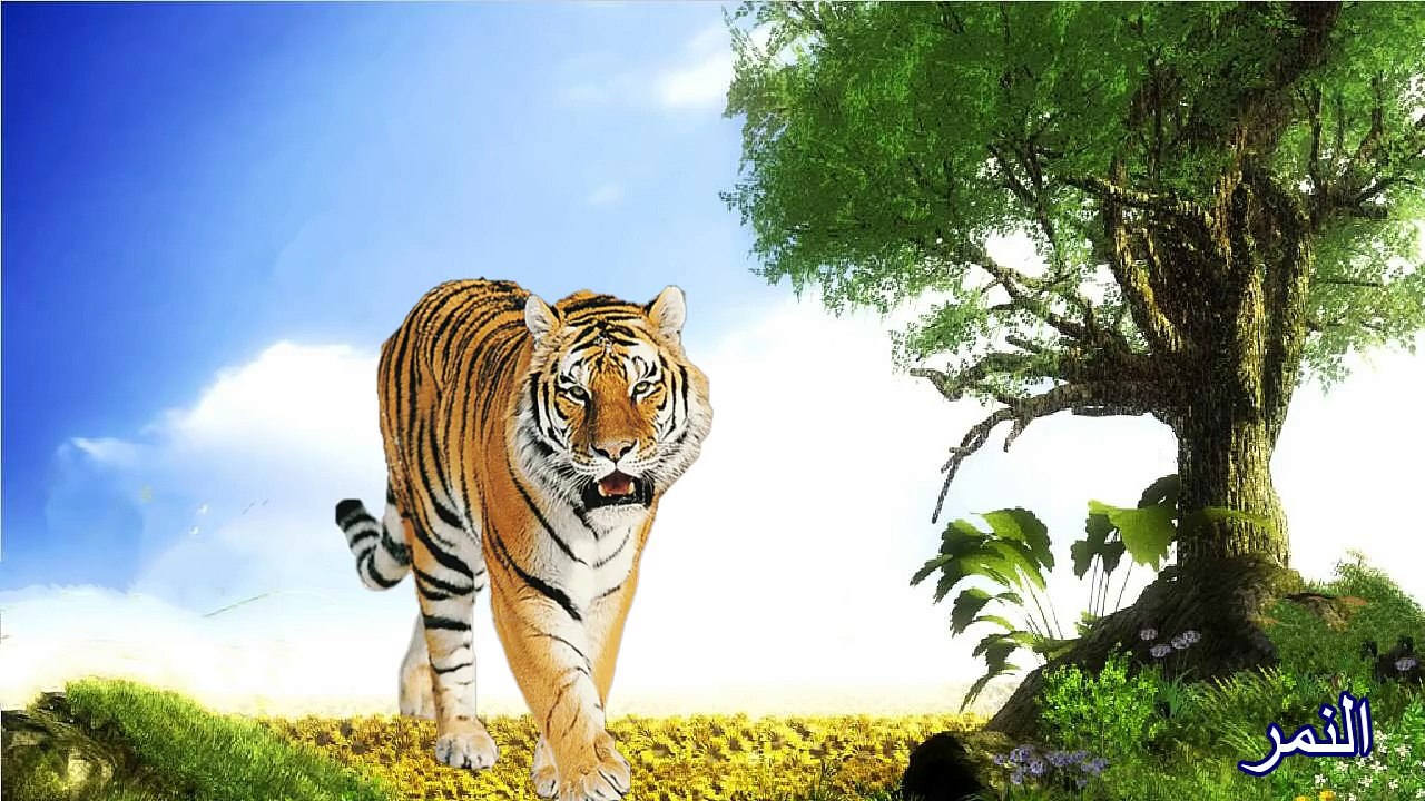 أصوات الحيوانات للأطفال