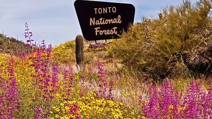 Εξωγήινα πλάσματα τρώνε ανθρώπους στην Αριζόνα!!!?Απίστευτη "διαρροή" πληροφορίας από Αμερικανικά μέσα!!