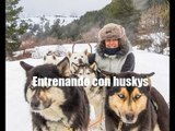Deportes blancos: entrenando con huskys