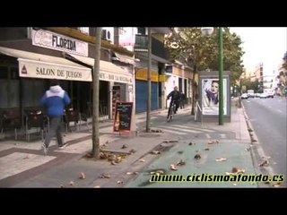 El carril bici de Sevilla