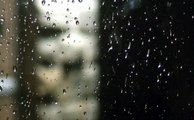 Sonidos de la naturaleza | Lluvia y truenos [Para estudiar, relajarse o dormir]