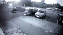 Une Tesla s'envole sur cette route (vidéo de caméra surveillance)