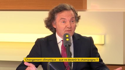 Le président du champagne Taittinger se félicite d'une année "extraordinaire", tant sur la qualité des raisins que sur la quantité.