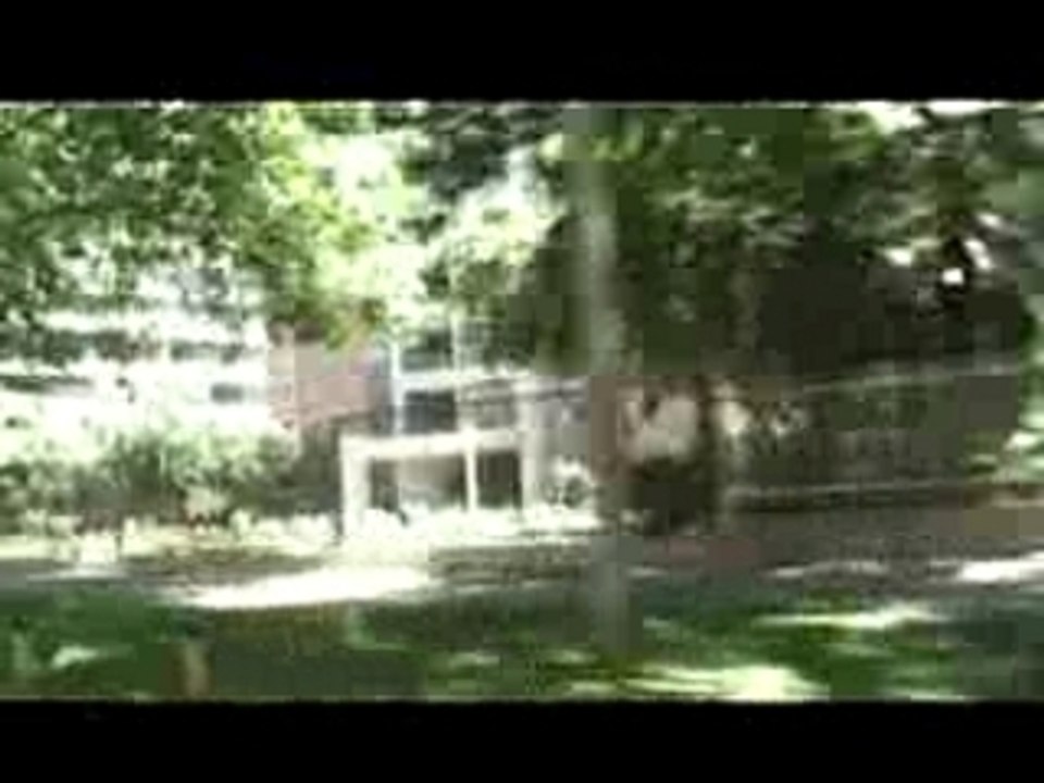 Zanganos - Ska de la vida