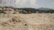 Turistas multados por levarem areia das praias da Sardenha