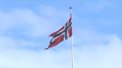 ضغوط بالنرويج لوقف بيع الأسلحة للسعودية