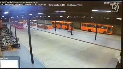 Vídeo flagra 'Surfista do busão' sobre o ônibus