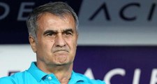 Beşiktaş Teknik Direktörü Şenol Güneş: Kulüp Takımı Çalıştırmayacağım