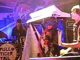 pull tiger tail@islington academy