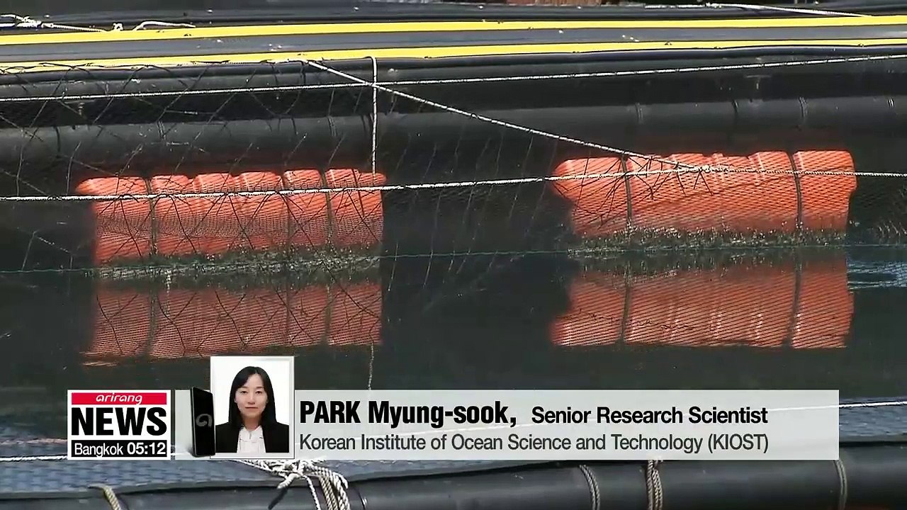 Korea's southern waters staying hot for nearly two weeks longer than 30 years ago: KIOST