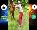 Funny Vines 2018 - Funny Fails Compilation - Try Not to Laugh Challenge - Epic Fail