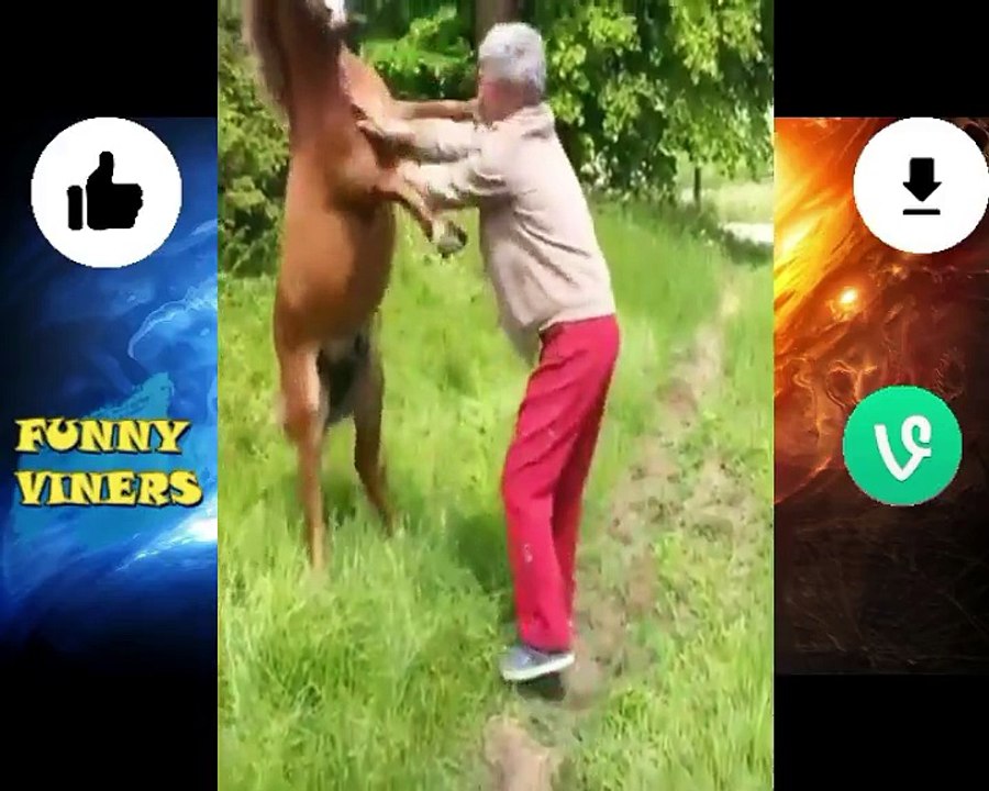Funny Vines 2018 - Funny Fails Compilation - Try Not to Laugh Challenge - Epic Fail