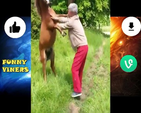 Funny Vines 2018 - Funny Fails Compilation - Try Not to Laugh Challenge - Epic Fail