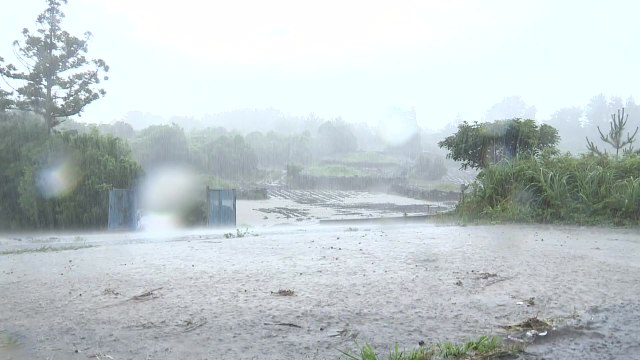 [날씨] 남부 내일까지 국지성 호우...시간당 40mm 이상 / YTN