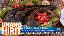 Unang Hirit: Fish farm resto sa Bay, Laguna, dinayo ng ‘Unang Hirit’