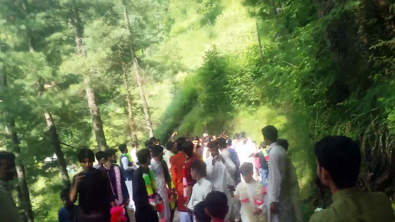 Jameel Qureshi (Jimy's) Wedding