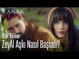 Alihan ve Zeynep'in aşkı nasıl başladı? - Yasak Elma