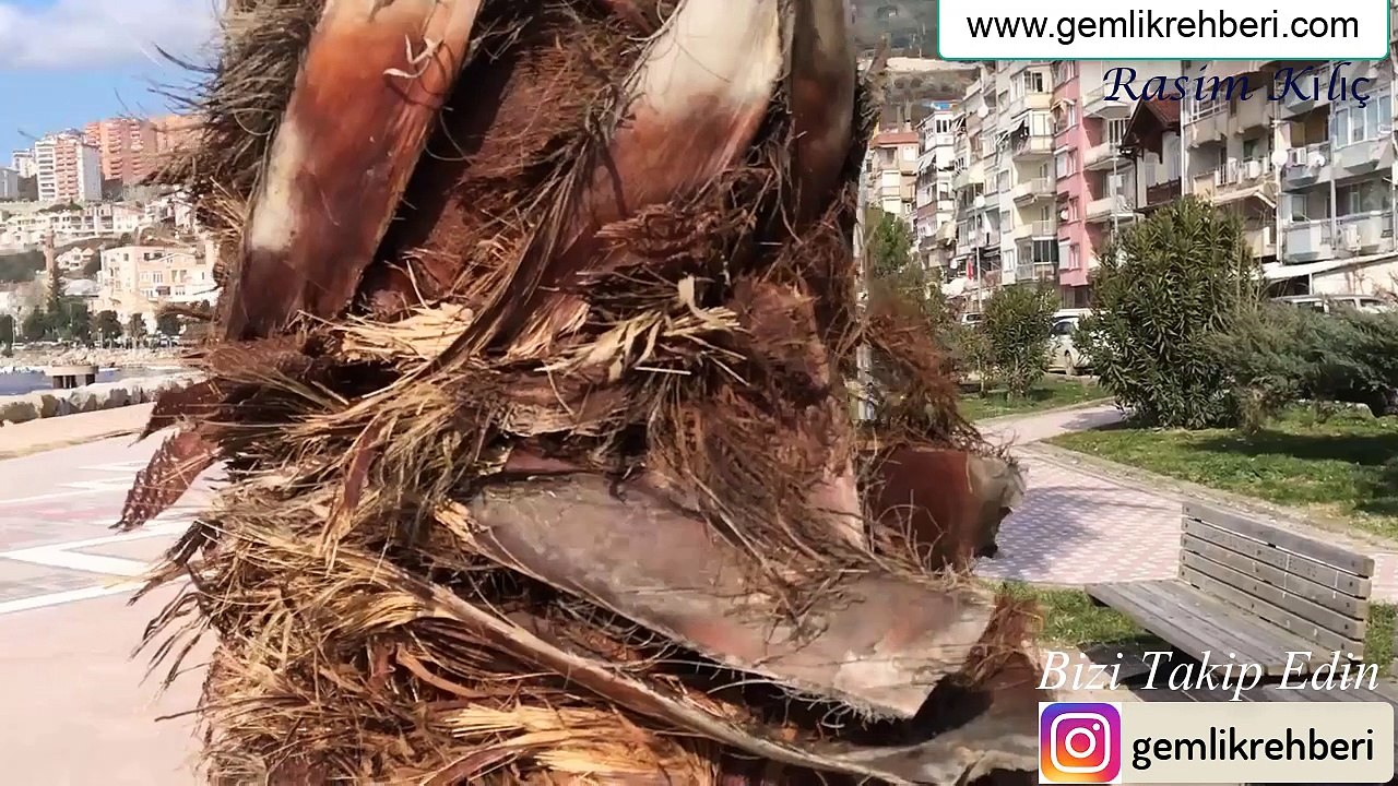 Gemlik,  Gemlik HAVADAN çekim YENİ,Gemlik Rehberi