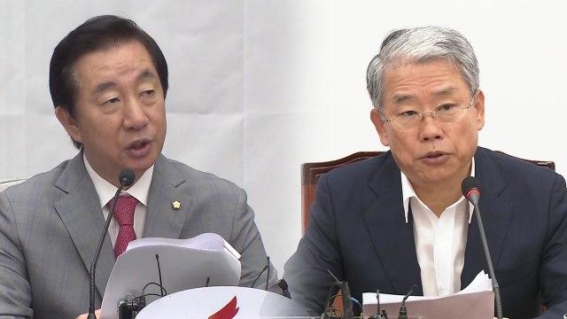 정기국회 앞둔 야당 개각으로 안 돼...소득주도성장 바꿔야 / YTN