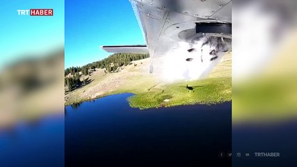 Yüksek dağ göllerine uçakla alabalık bıraktılar