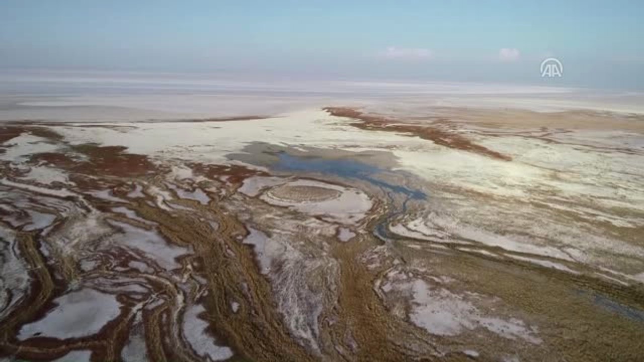 Tuz Gölü'nde Yavru Flamingo Ölümleri