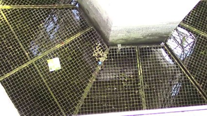 Dijon-Puits de Moise (1)