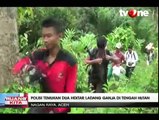 Polisi Nagan Raya Temukan 2 Hektare Ladang Ganja