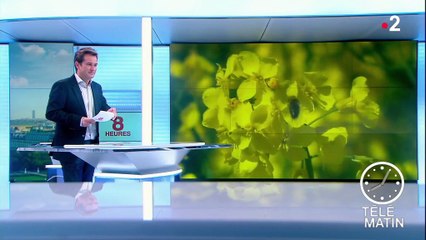 Pesticides : les néonicotinoïdes interdits à partir du 1er septembre