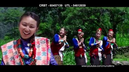 Hamro Dana Gaun official Music Video by krishna Tulachan