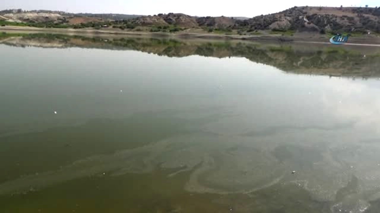 Denizli'de Baraj Göletinde Toplu Balık Ölümleri Gerçekleşti...ölü Balıklar Karaya Vurdu