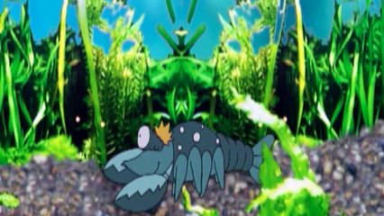 Sandmännchen- Kalli alle Folgen (30 min) - Unser Sandmännchen  Kinderfilme