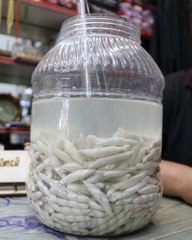 Kenger Bitkisinden Elde Edilen Sakızın Kilosu Bin Lira Olunca Taneyle Satılmaya Başladı