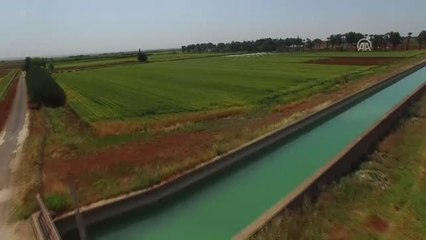 Güneydoğu'da Verimli Domates Arayışları