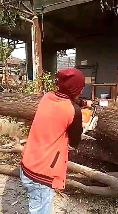 Cara memotong kayu dengan gergaji mesin (simso)...