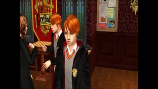 Harry Potter and the Order of the Phoenix | Chapter Thirteen | Sims 2 Machinima Series: