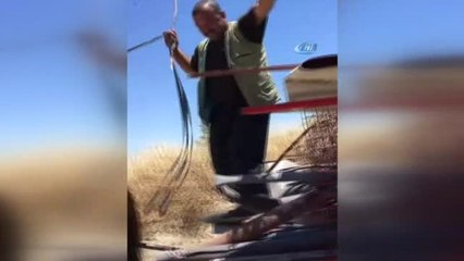 Müziğin Ritmine Kapıldı, At Arabasının Üstünde Böyle Oynadı