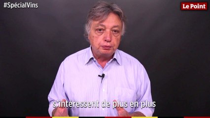 Spécial vins : trouver des bourgognes pas chers, c'est possible !