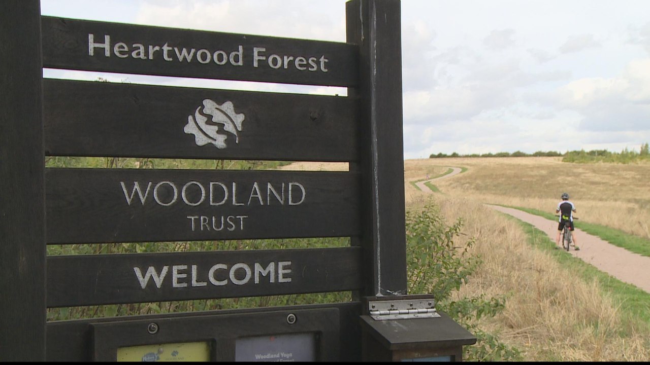 The UK's new forest plan: 50 million trees over...