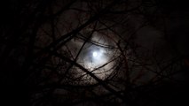 Moon that illuminates our dark nights