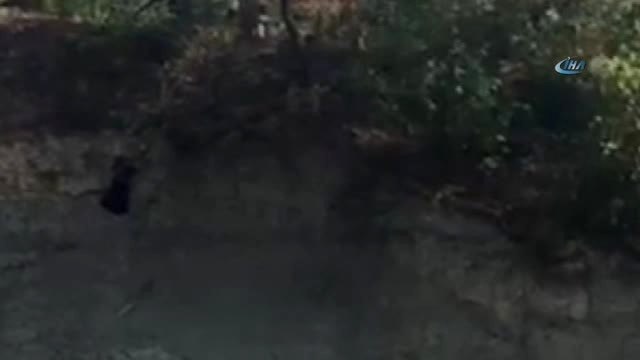 Uçurumdaki Kedisini Kurtarmak İsteyen Yaşlı Kadın Mahsur Kaldı